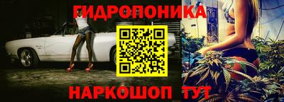 мяу мяу мука Бугуруслан