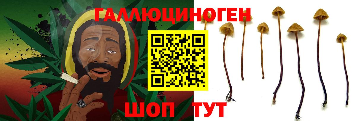 Галлюциногенные грибы Psilocybe Снежинск